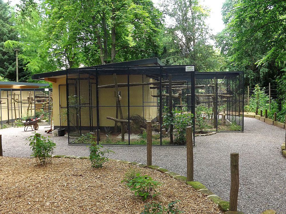 Voliere für bedrohte Vögel (Zoo Landau)