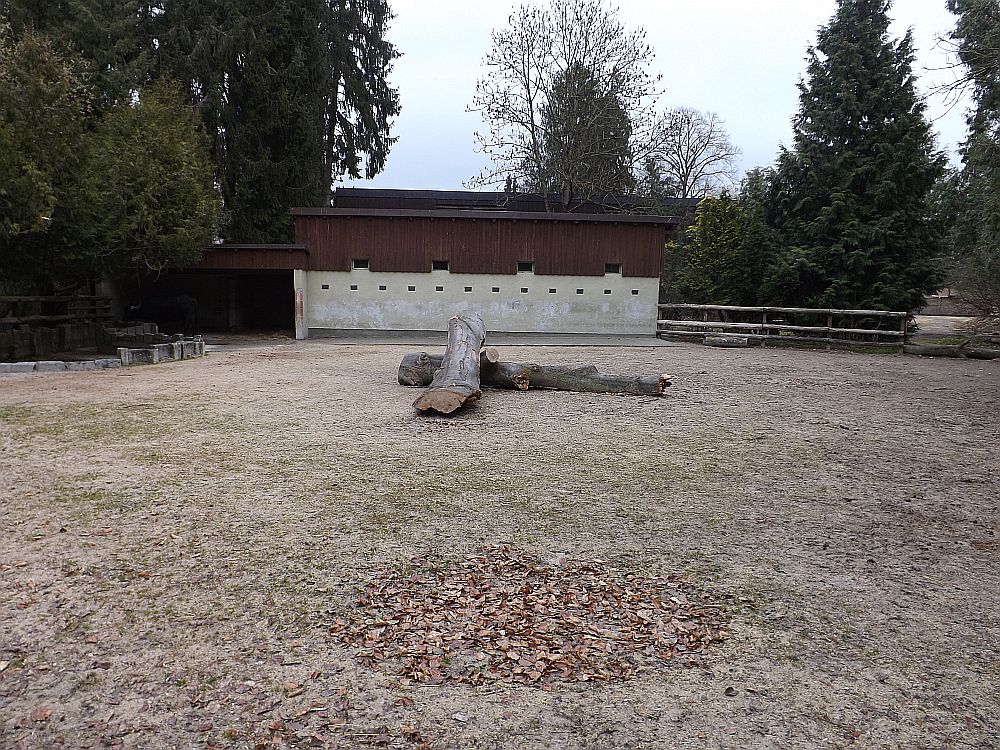 Wasserbüffelanlage (Zoo Augsburg)