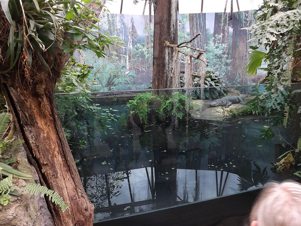 Alligatorenanlage (Zoo Leipzig)