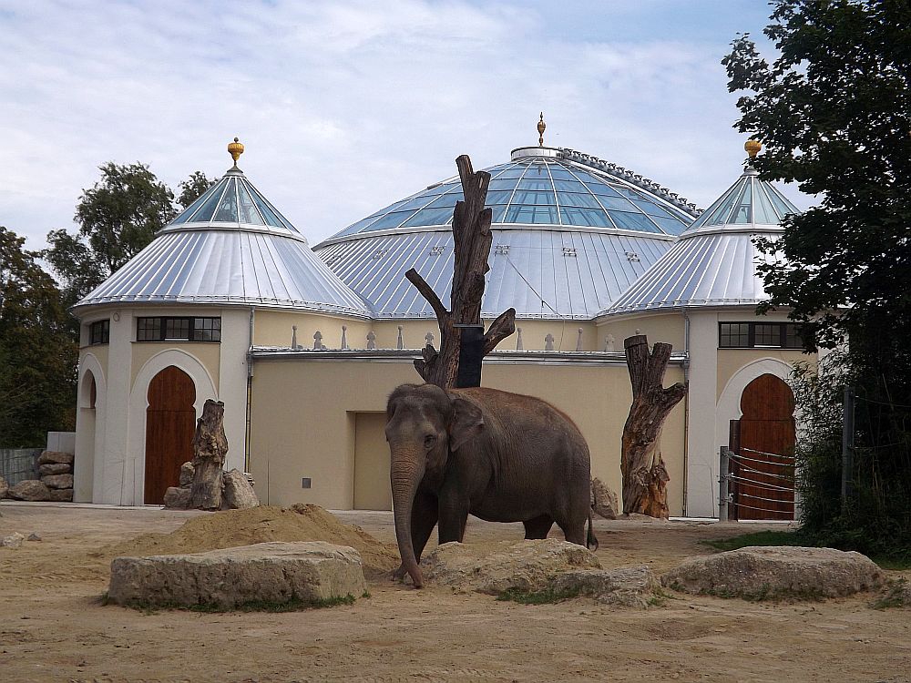 Elefantenhaus (Tierpark Hellabrunn)