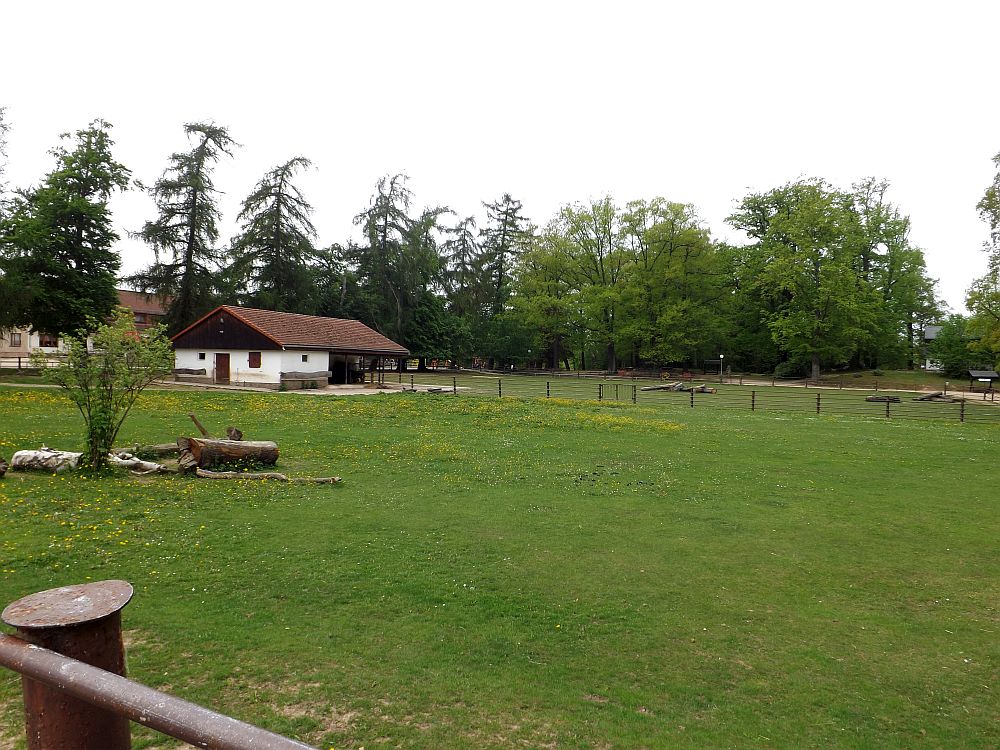 Pony- und Eselwiese (Tierpark Hirschfeld)