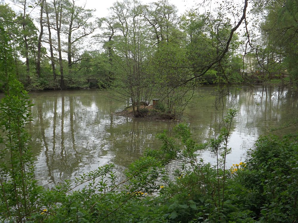 Teich (Tierpark Hirschfeld)