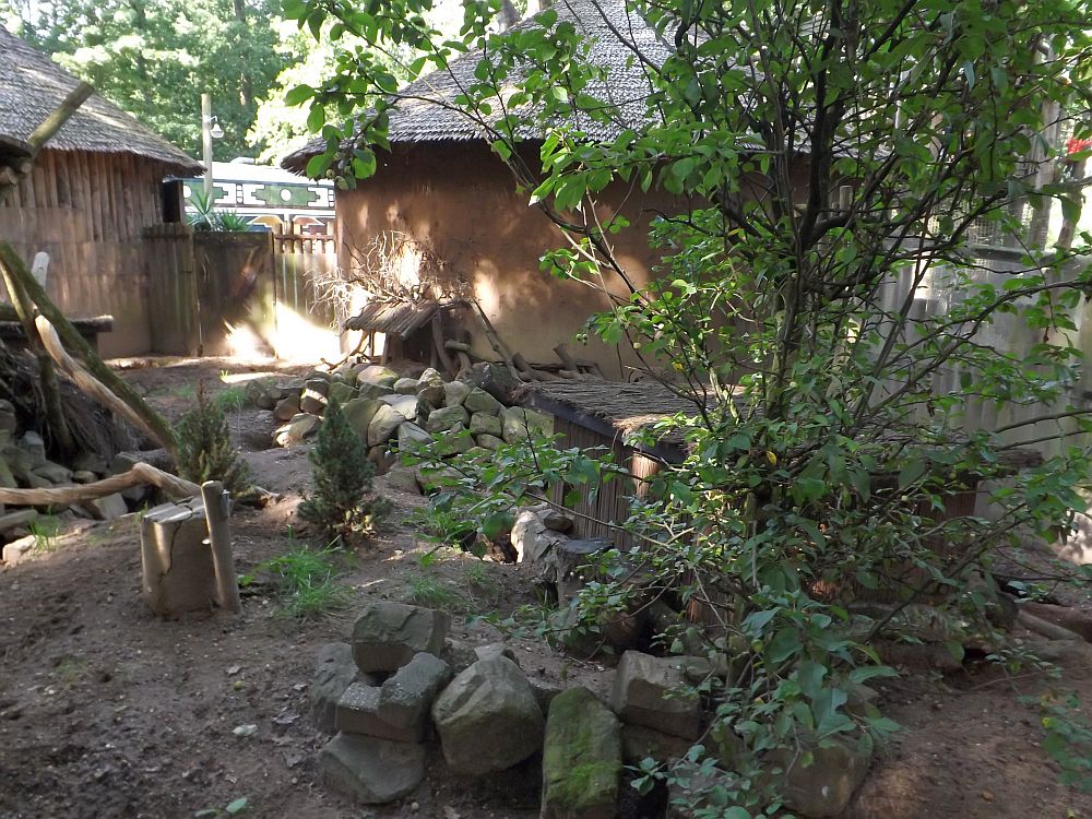 Anlage für Fuchsmangusten (Ouwehands Dierenpark)