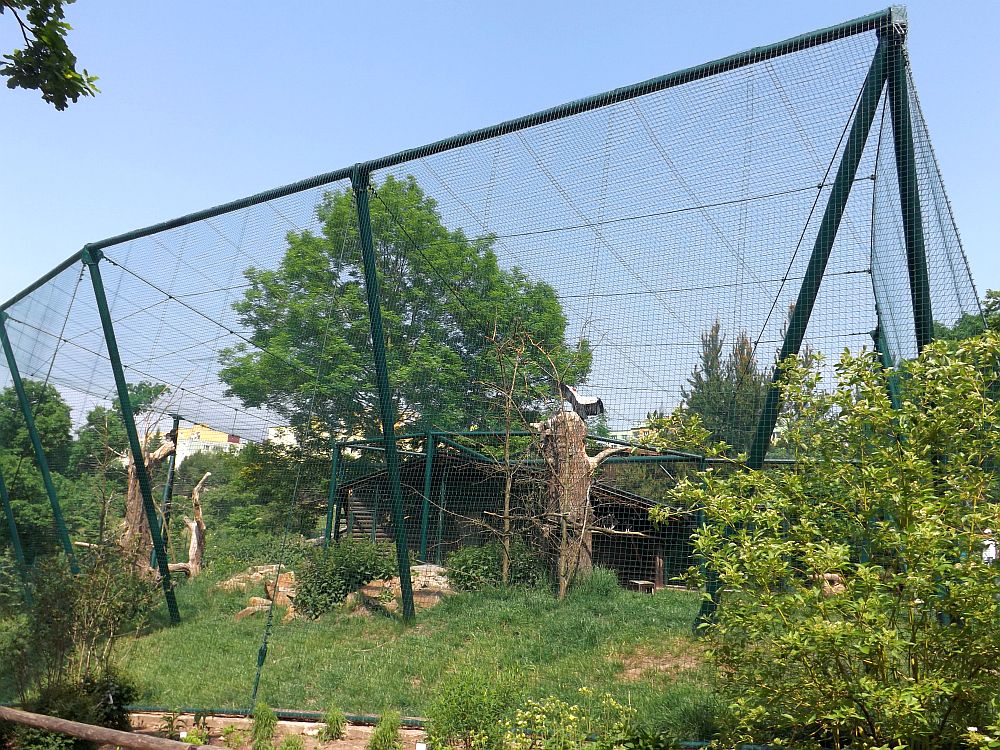 Neuweltgeieranlage (Zoo Plzen)