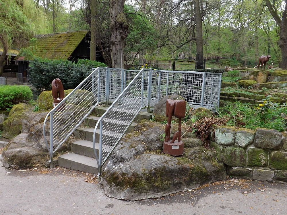 Tierpark Halberstadt