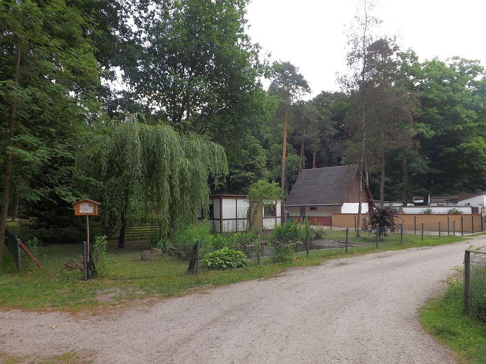 Tierpark Finsterwalde