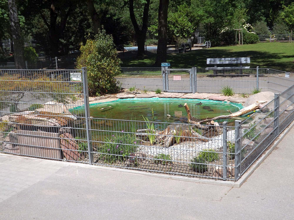 Wasserschildkrötenanlage (Tierpark Walldorf)