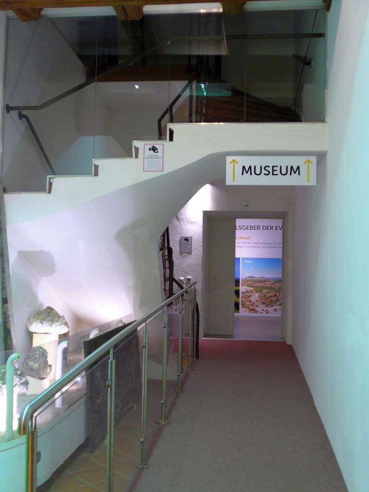 Evolutionsmuseum Schmiding
