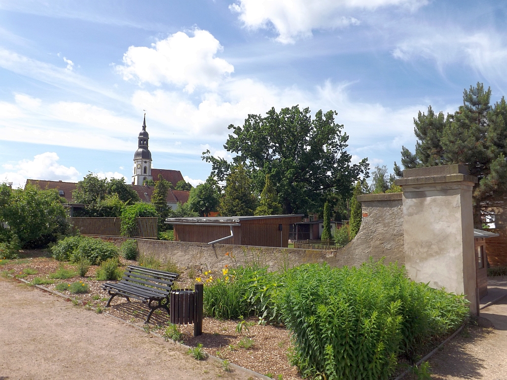 Heimattiergarten Strehla mit Stadtkirche im Hintergrund