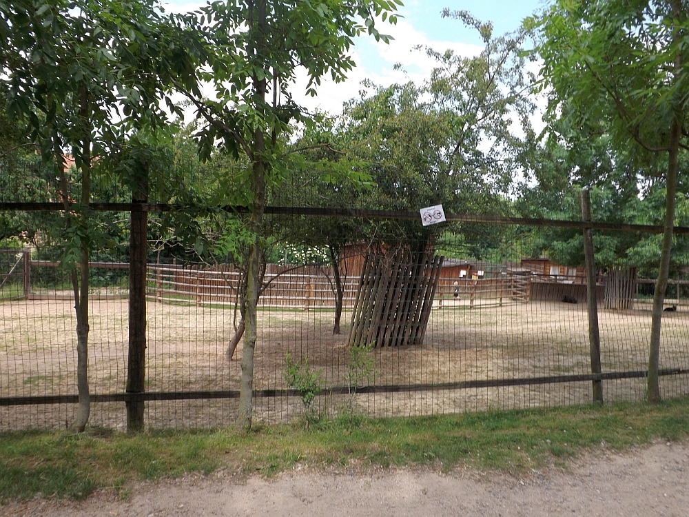 Streichelanlage (Zoopark Zajezd)