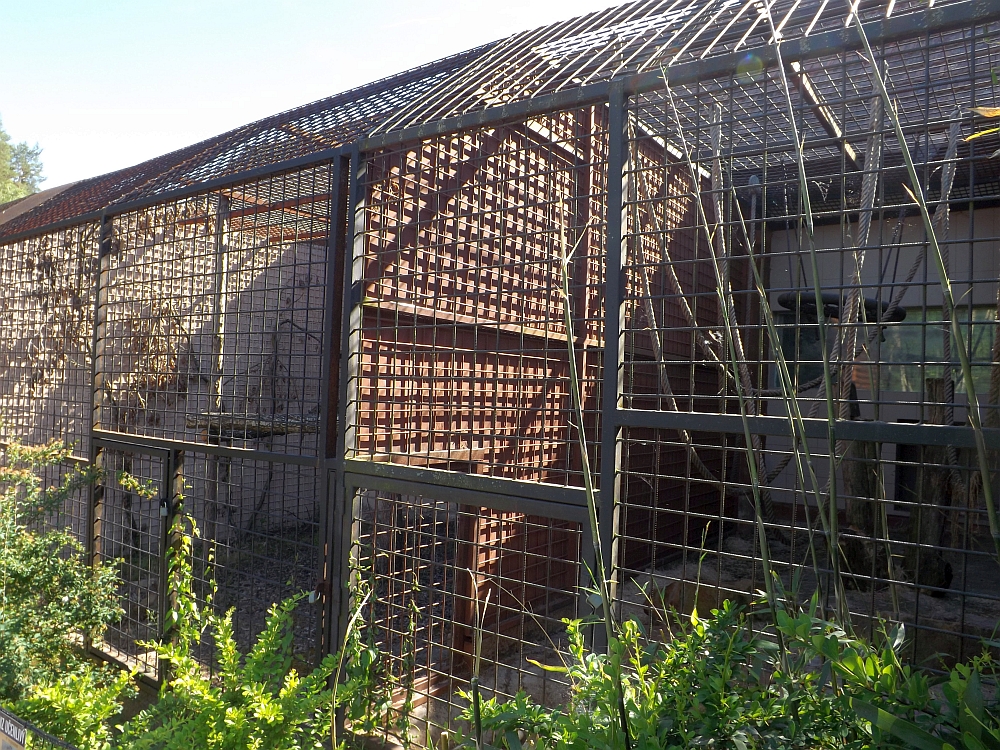 Außenanlagen für Pavian und Schimpansen (Zoo Dvorec)