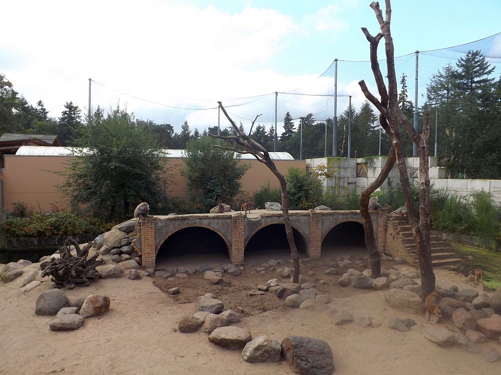 Mantelpaviananlage (Zoo Amersfoort)