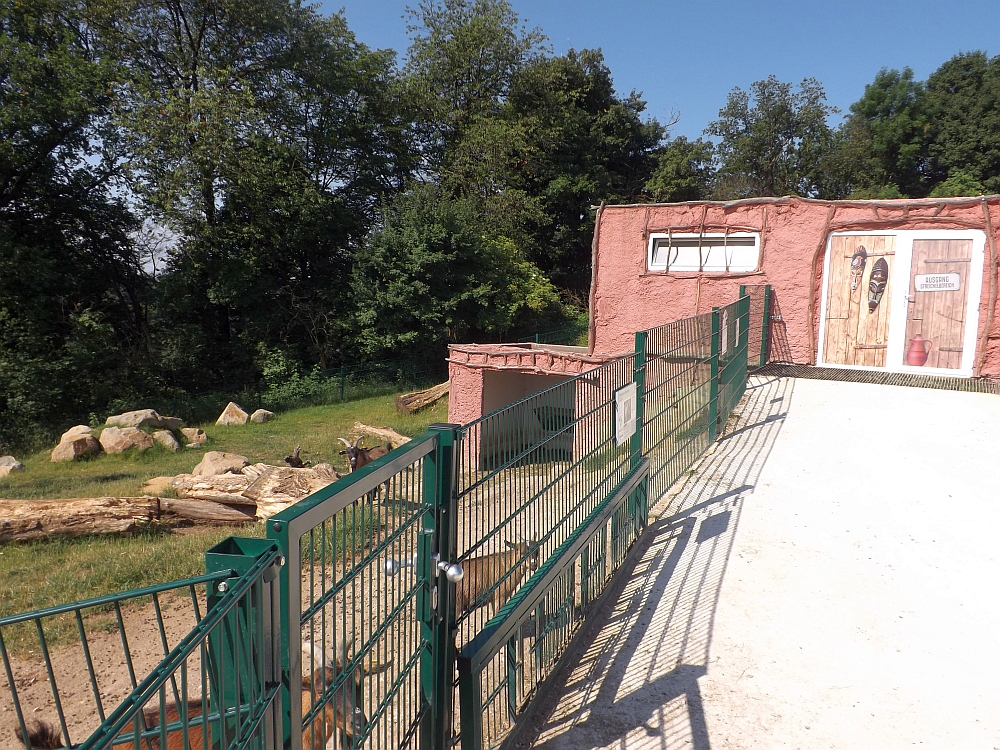 Haustierpark (Zoo Linz)
