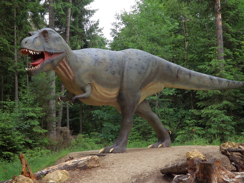 Tyrannosaurus rex (Dinopark Altmühltal)