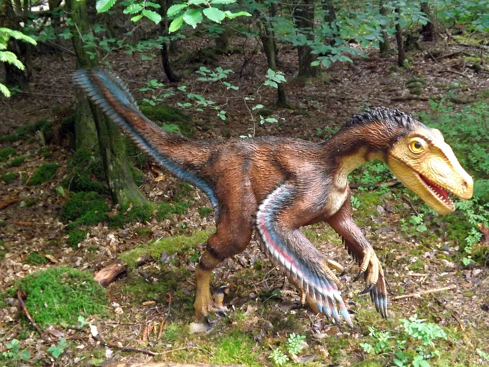 Velociraptor mongoliensis (Dinopark Altmühltal)
