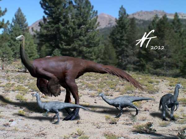 Ornithomimus edmontonicus (© N. Tamura)