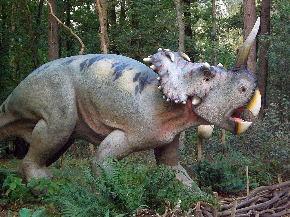 Centrosaurus (Zoo Amersfoort)