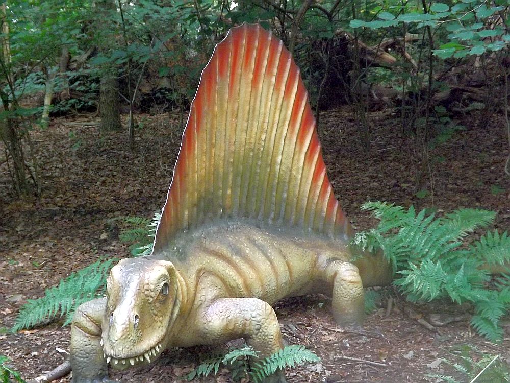 Dimetrodon (Zoo Amersfoort)