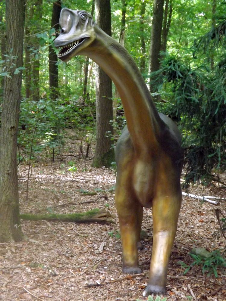 Europasaurus (Zoo Amersfoort)