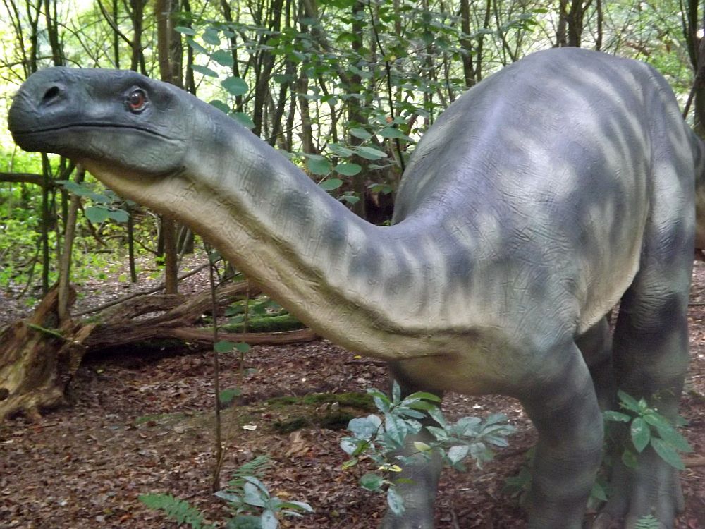 Plateosaurus (Zoo Amersfoort)