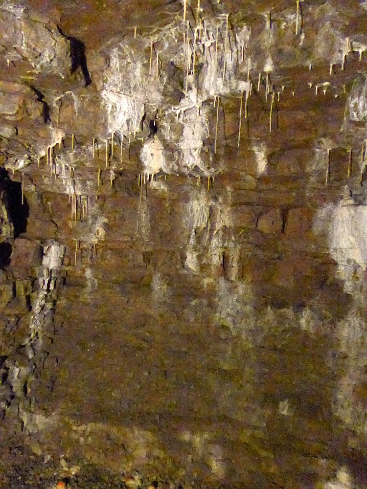 Tropfsteinhöhle in den historischen Höhlern, Gera