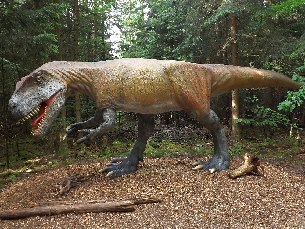 Torvosaurus tanneri (Dinopark Altmühltal)