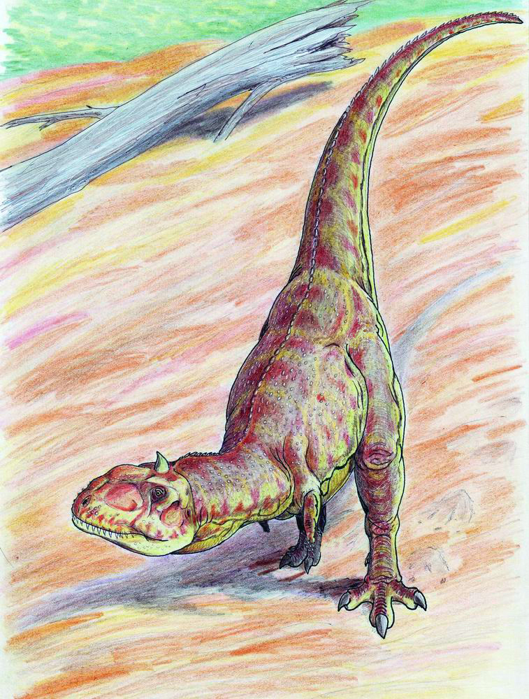 Majungasaurus crenatssimus (Dmitry Bogdanov)