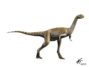 Elaphrosaurus bambergi (© N. Tamura) Der BeutelwolfBlog